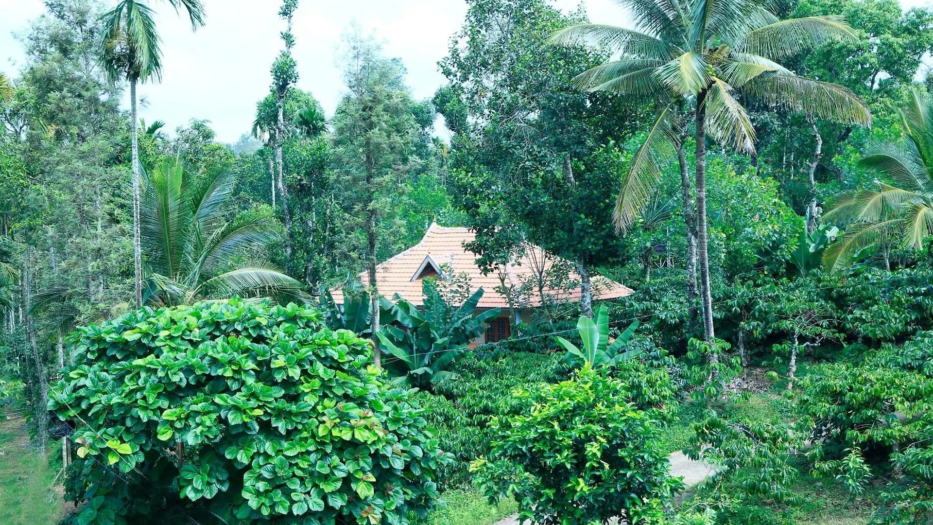 Himadri Retreat Bed & Breakfast Wayanad