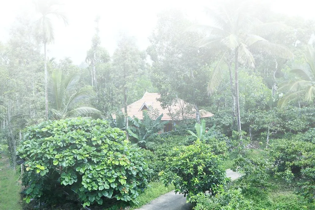 Himadri Retreat Bed & Breakfast Wayanad